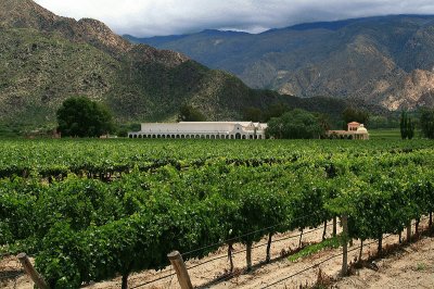 Cerca de Cafayate. Salta. Argentina