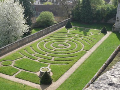 Catherdral garden Chartres