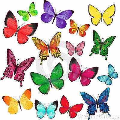 mariposas