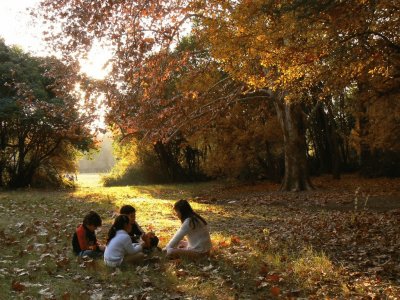 En el parque. Mendoza. Argentina