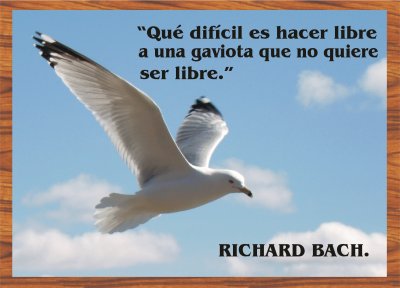 RICHARD BACH.