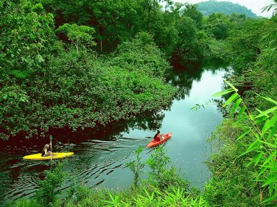 Amazonia