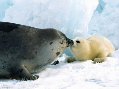 besitos de mamÃ¡