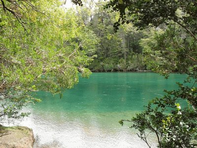 PN Los Alerces. Chubut. Argentina