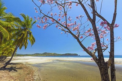 Playa Carrillo. Costa Rica