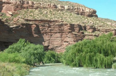 RÃ­o Atuel. Mendoza. Argentina