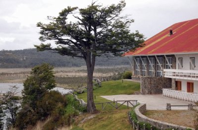 A orillas del Fagnano. Tierra del Fuego. Argentina