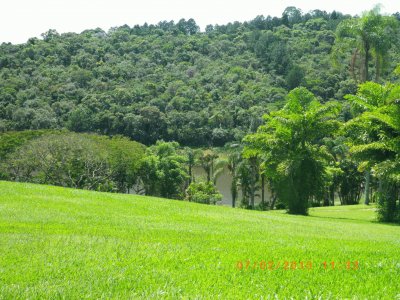 VegetaÃ§Ã£o Mata AtlÃ¢ntica