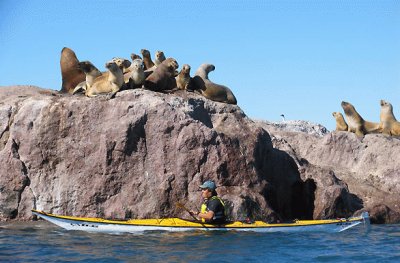 Puerto Deseado. Patagonia argentina