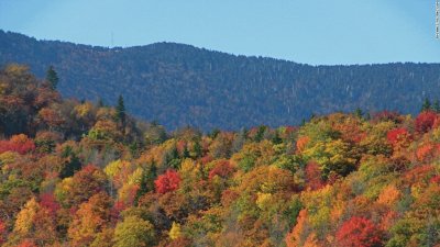 Smoky Mountain fall foliage