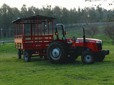 Pasear por el campo