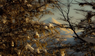 VolcÃ¡n LanÃ­n. NeuquÃ©n. Argentina