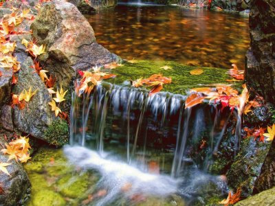 cachoeira