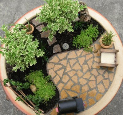 Mini jardin