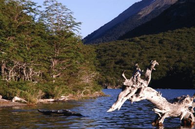 Lago Baguilt. Chubut. Argentina