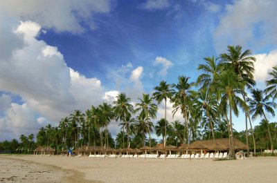 Praia de Maragogi - AL