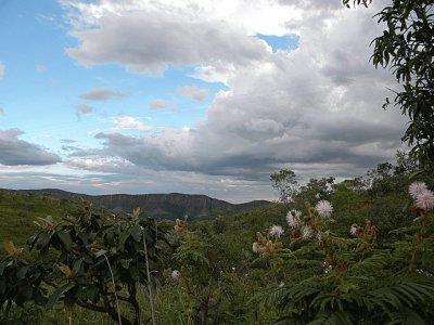 Cerrado Brasileiro