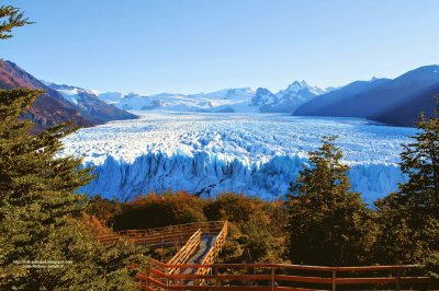 Glaciar Perito Moreno. Patagonia argentina jigsaw puzzle