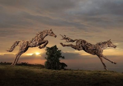 Amazing Driftwood Sculptures