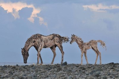 Amazing Driftwood Sculptures