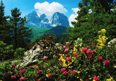 Sassolungo val gardena. Italia