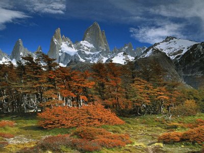 El ChaltÃ©n. Patagonia argentina