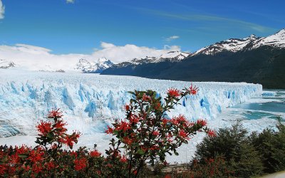 Glaciar Perito Moreno. Patagonia argentina