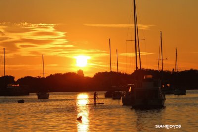 Davis Island Sunset,Tampa Fl.