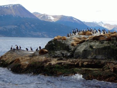 Tomada en Tierra del Fuego. Argentina