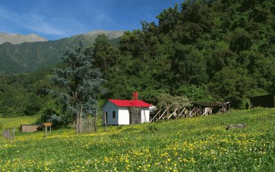 PN Campo de los Alisos. TucumÃ¡n. Argentina