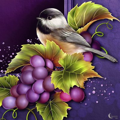 Bird with Grapes