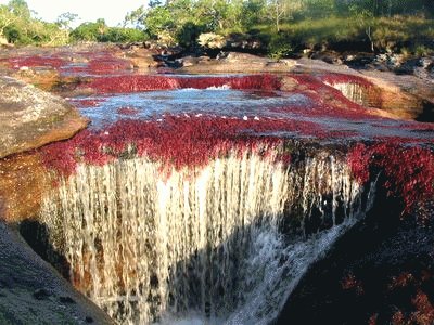 Cristales