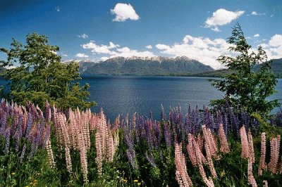 Lago LÃ¡car. NeuquÃ©n. Argentina