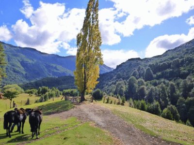 Cerca de Bariloche. RÃ­o Negro. Argentina