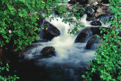 Cascada de la Virgen. RÃ­o Negro. Argentina