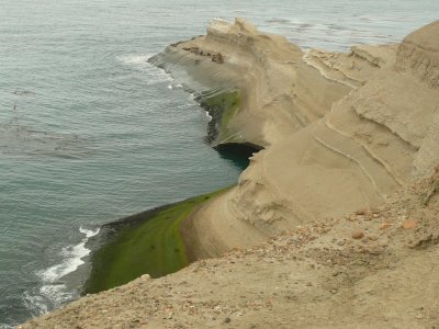 Apostadero de lobos marinos. Patagonia argentina