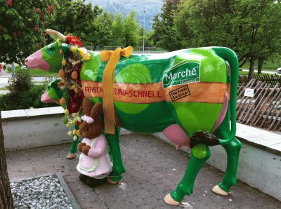 Mucca svizzera