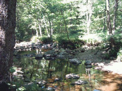 RiviÃ¨re calme (Belgique)