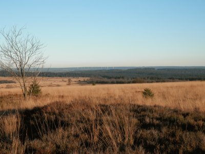 Fagnes (East Belgium)