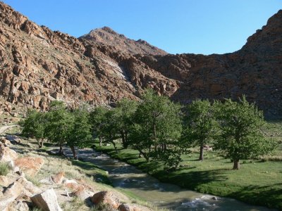 Valle de Altay. Mongolia