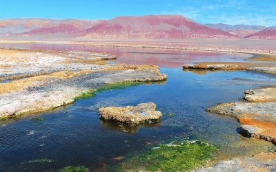 Laguna Carachi Pampa. Catamarca. Argentina