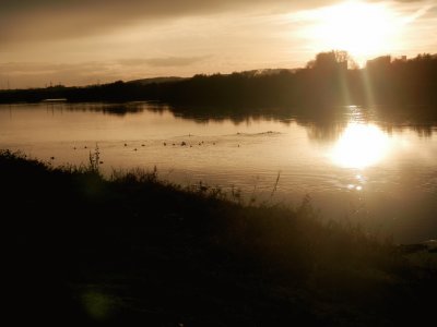 La Meuse (Nl)