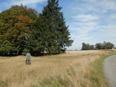 Fagnes (East Belgium)