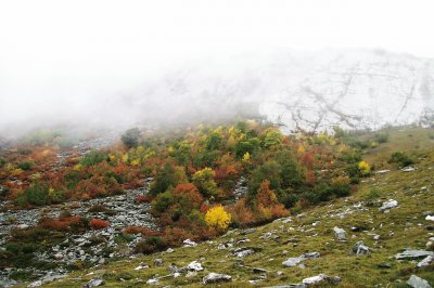 Automne dans les Alpes (Fr)