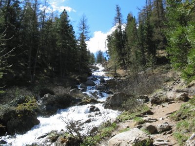 Torrent du Queyras (Fr)