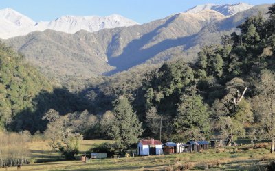 PN Campo de los Alisos. TucumÃ¡n. Argentina