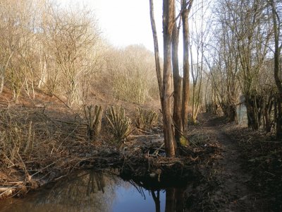 Little river (East Belgium)