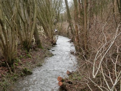 River 's cleaning (East Belgium)