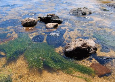 En el rÃ­o Yuspe. CÃ³rdoba. Argentina