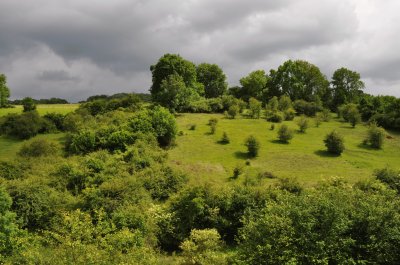 Avant l 'orage (East Belgium)